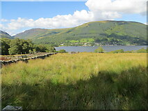 NN5922 : Pastureland heading down to Loch Earn by Peter Wood