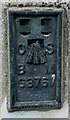 OS Flush Bracket G3761 - Carmarthen, County Hall