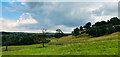 Pasture land below Mellor Hall