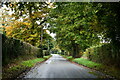 TF9705 : Letton: Cranworth Road by Michael Garlick