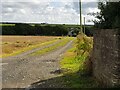 Lane to Valley Fach