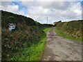 Lane to Rhosgranog Farm