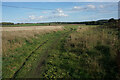 Path onto Papplewick Moor