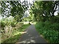 Taff Trail approaching farmland near Llwyn Onn Farm