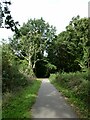 Taff Trail in woods west of Pontypridd Aldi