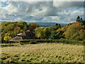 Glovewood house at Shatterford