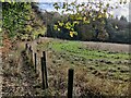 North Worcestershire Path at Gunhill Wood