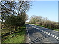 A35 towards Dorchester