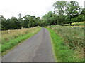 Fence and hedge-lined minor road near Easter Meiggar