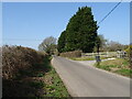 Minor road towards Yearlings Farm