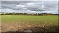 Looking north-east from Cantlop towards Berrington