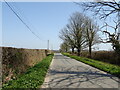 SY7491 : Ilsington Road towards Tincleton by JThomas