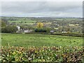 View across field to Torcoed Uchaf