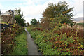 Path by Broadford River