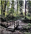 Footbridge along the North Worcestershire Path