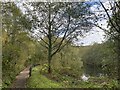 Footpath and lake