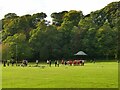 Rugby match in Congleton park (1)