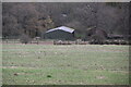 Barn, Little Swallows