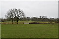 TQ2349 : Surrey pasture by N Chadwick