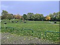 Play area - Greenwood Park