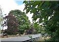 Harrogate, Jenny Plain bridge