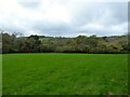 Wain House Field/Wood Field