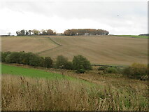 NT5747 : Fields at Dods by M J Richardson