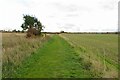 Icknield Way heading to Wingfield