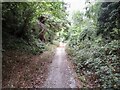 Path, Shillingstone Hill