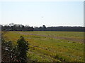 Field near Hurst Farm