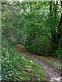 Footpath to Beckbury in Shropshire