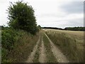 ST8209 : Track, Shillingstone Hill by Richard Webb