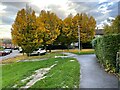 Cars and trees on Churchfield road