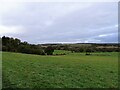 View north from the path near Moorside