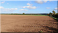 Shropshire farmland east of Beckbury