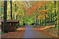 The driveway to Bowhill House in late October