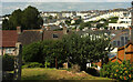 Ellacombe from Princes Road East