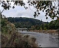 River Wye at Tintern