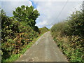 Hedge enclosed rack and footpath to St Bernard