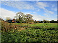 Fields and houses, Broadgate House, Kelham