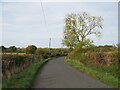 Tye Green Road, near Elsenham