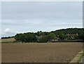 Field towards Stotfold Farm