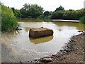 Hay bale in a pond