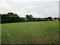 SO5464 : Grass field near Norton Court by Jonathan Thacker