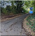 Road from the B4348 towards Vowchurch Common, Herefordshire