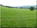 A circular walk from Leyburn via Wensley village [52]