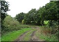 Farm track off Moor Lane