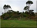 Edge of Barnhill Rock Garden