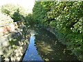 Rea Brook upstream of Coleham Head