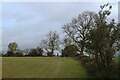 Pasture to the West of Goosnargh